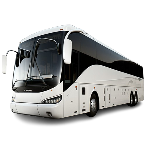 buspic